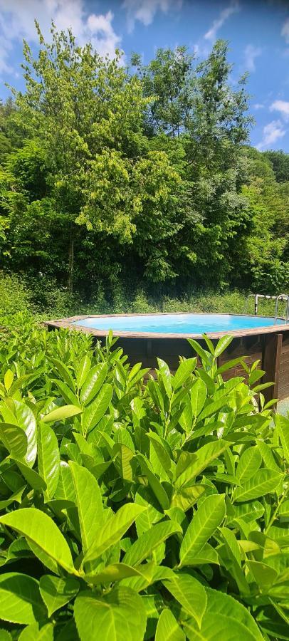 Maison Piscine Villa Saint-Amarin Bagian luar foto