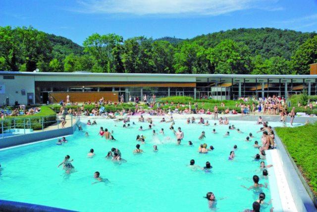 Maison Piscine Villa Saint-Amarin Bagian luar foto